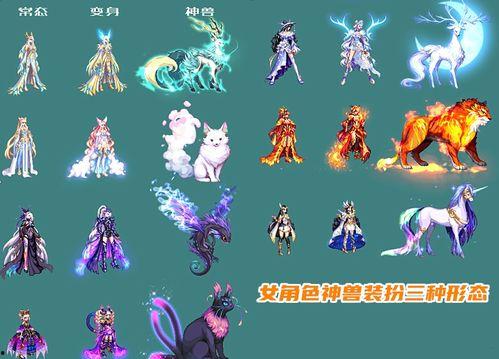 dnf最新龙袍爆料,神秘龙袍亮相，玩家期待新版本